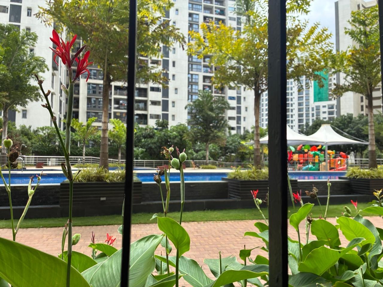 The pool, the play area and the towers seen through the black bars of a ground-floor window grill, with red canna flowers in the foreground. A tower wrapped in green safety netting stands at the far right.